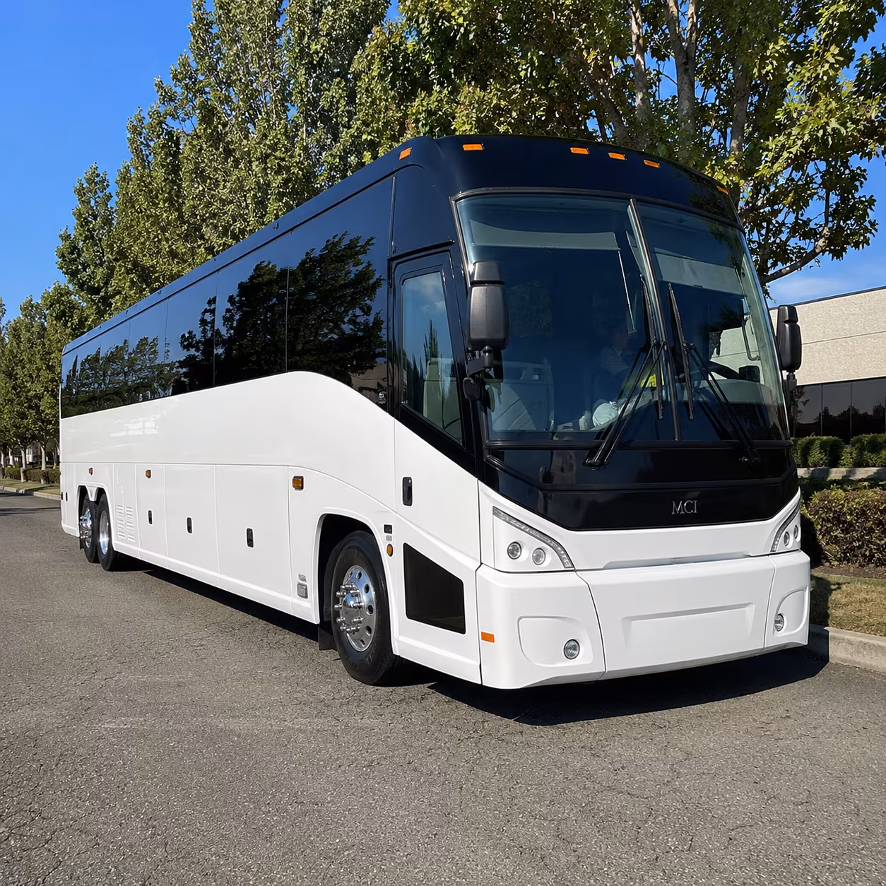 rock hill 50 passenger charter bus